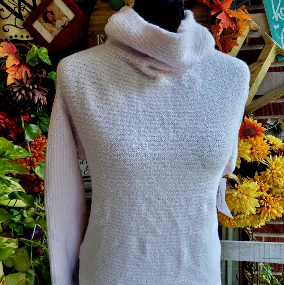 Daily Ritual Blush Cardigan - Picture 1 of 9